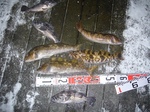 blogP1030130.jpg