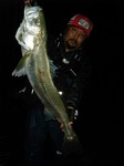 DSCF1031.jpg