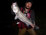 P1030278blog.jpg