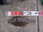 blogP1020747.jpg