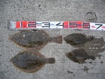 blogP1020785.jpg