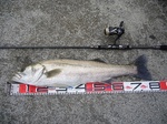 blogP1030210blog.jpg