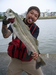 blogP1030212blog.jpg